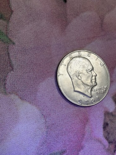 Moneta usa dollaro - moneta,