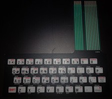 Sinclair ZX81 / Timex 1000