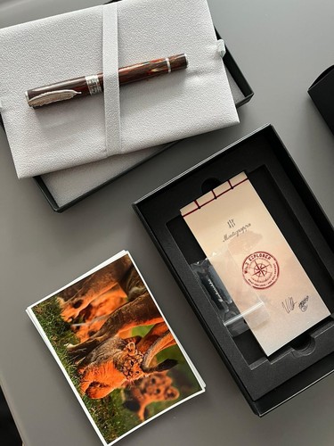 Penna stilografica montegrappa - penna,