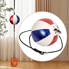 Palla da boxe veloce, sacco da