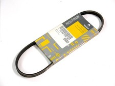 Cinghia Trasmissione Poly v Renault Clio mk1 Kangoo Safrane Twingo Ricambi Auto