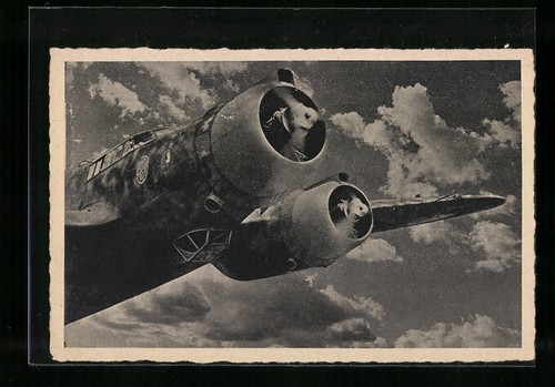 Aviazione militare - ak,