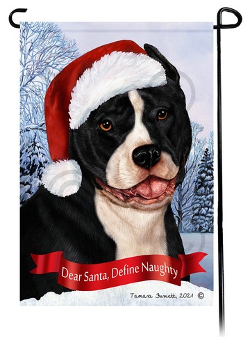 Pit bull terrier caro babbo - bull,