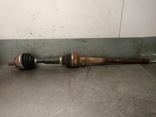 P31367553 transmisión