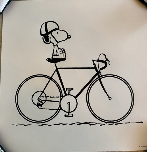Peanuts cyclist snoopy - peanuts,