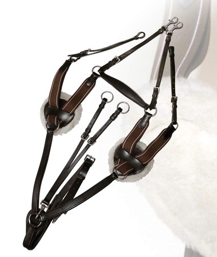 Pettorale inglese cuoio 5 - in,