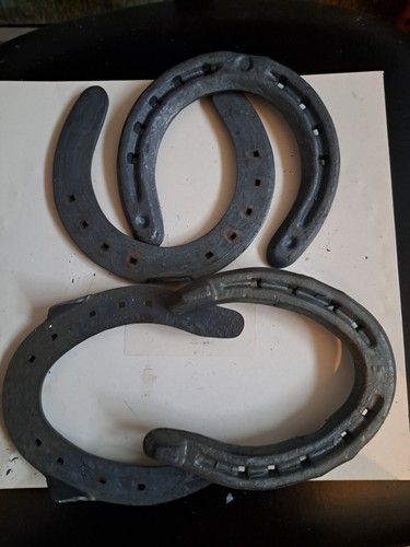 Ferri cavallo con - cavallo, ramponi