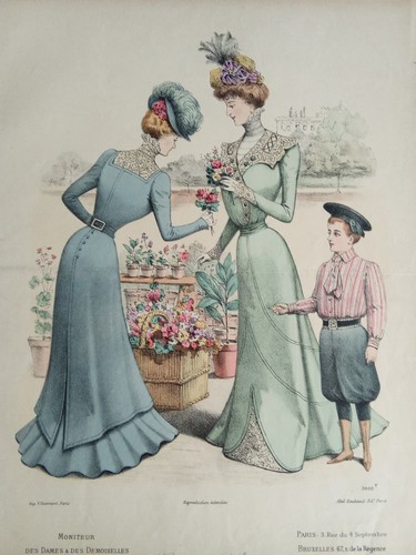 Stampa antica moda fiorista - stampa,
