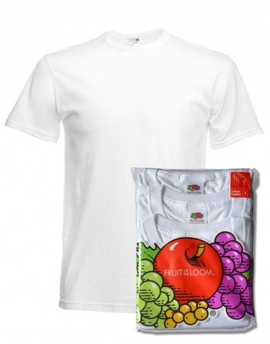 Fruit the loom - of,