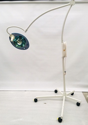 Lampada diagnostica heraeus - lampada,