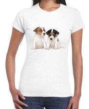Jack Russell Cuccioli Donna