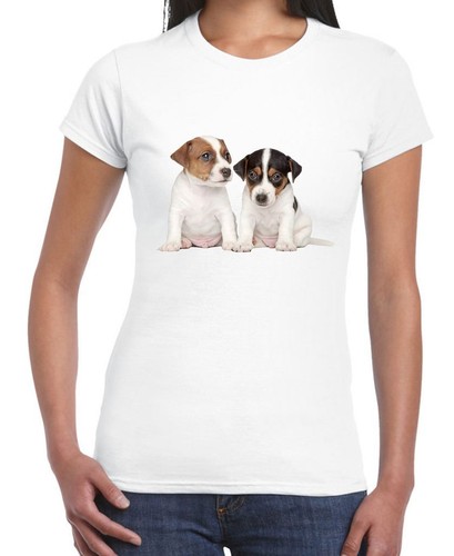 Jack russell cuccioli donna - russell,