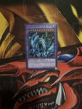 CAVALIERE SIGNORE DEI DRAGHI