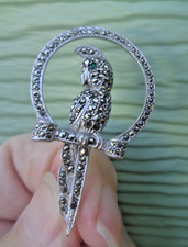 Argento Pappagallo Uccello