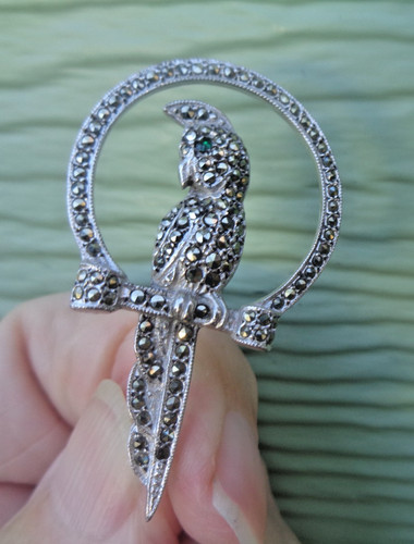 Argento pappagallo uccello - argento,