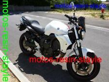 Fianchetti radiatore Yamaha FZ6  