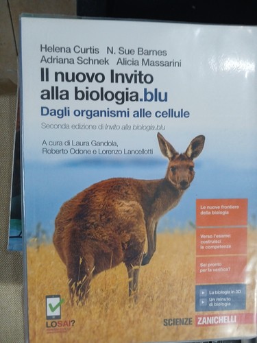 Nuovo invito alla - il,