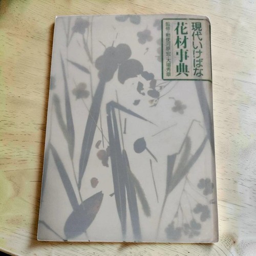 Encyclopedia modern ikebana - modern,