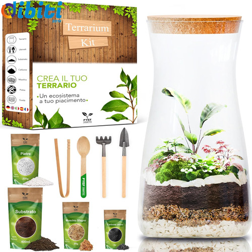 Terrarium kit diy - per, un