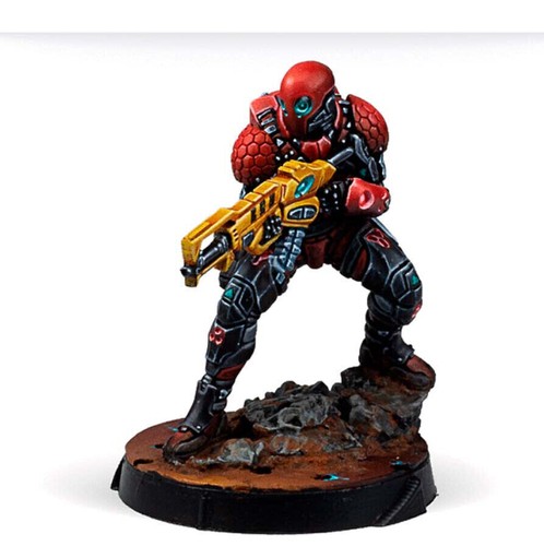 Infinity primed intruders hmg - infinity,