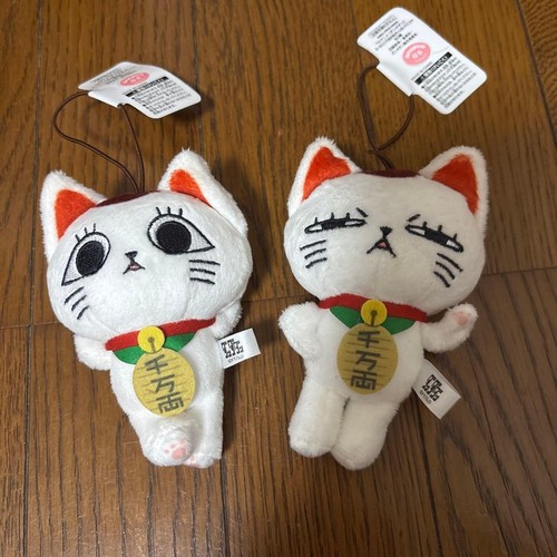 Dandadan turbo babaa lucky - turbo, cat