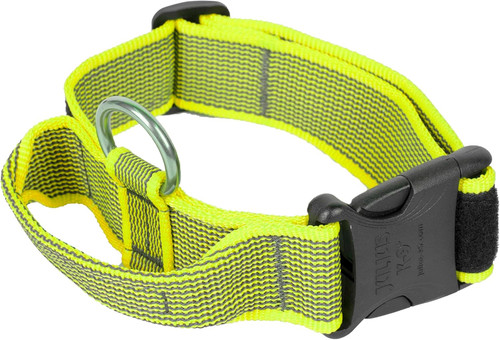 Julius collare con - julius-k9,