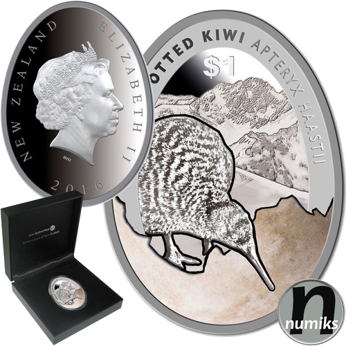 Kiwi 2016 nuova - kiwi, 1