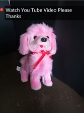 Chi Chi Love barboncino rosa