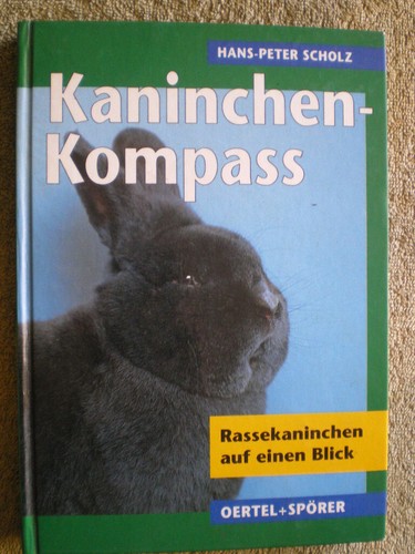 Kaninchen kompass - kompass,