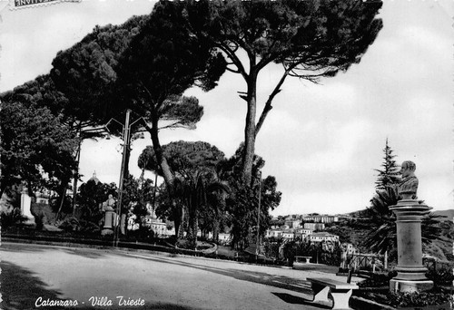 2395 cartolina catanzaro - 2395),