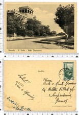 NARZOLE IL VIALE VILLE BERNASCONI VIAGGIATA 1955 (PII/66)