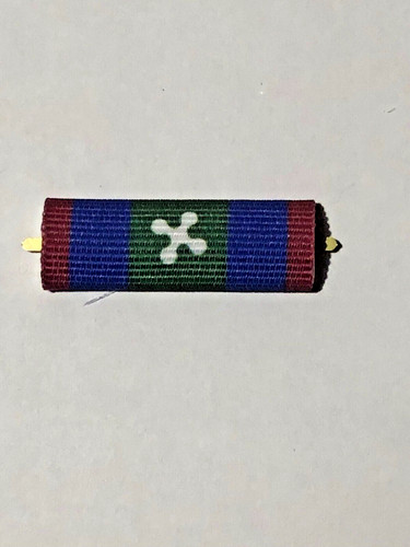 Nastrino polizia locale - nastrino,