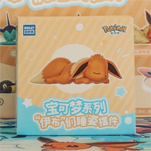 Holly box pokémon sleeping - box,