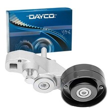 DAYCO TENDICINGHIA CINGHIA