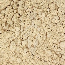 Cordyceps sinensis fungo Bio