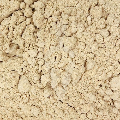 Cordyceps sinensis fungo bio - cordyceps,