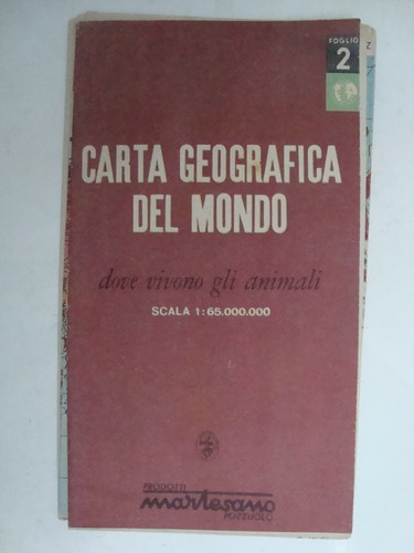 Carta geografica del mondo - geografica,