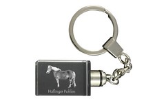 Haflinger puledri orologio - haflinger,