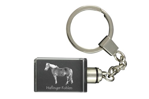 Haflinger puledri orologio - -,