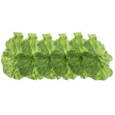  6 pezzi di foglie di lattuga
