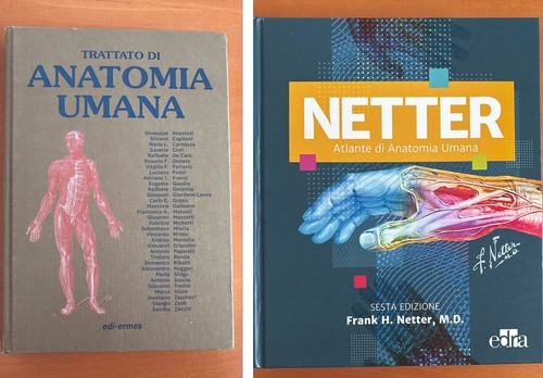 Trattato anatomia umana di - umana,
