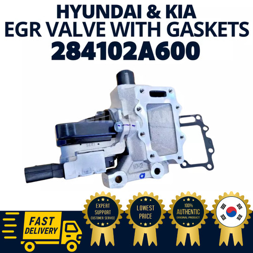 Guarnizione assy valvola - , egr