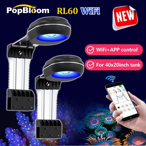 Popbloom marine illuminazione - marine,