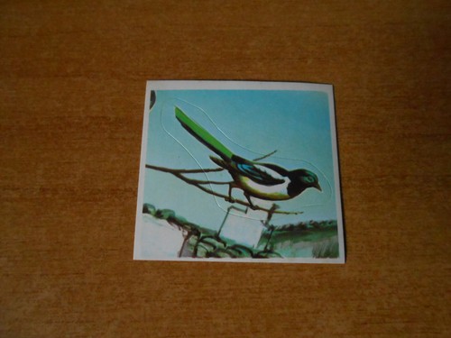 Figurina animali 67 - -,