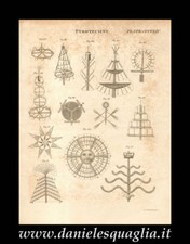 PIROTECNICA PYROTECHNY FUOCHI DI ARTIFICIO STAMPA ORIGINALE 1800