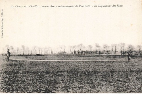 Mikio 0473 pithiviers - mikio-0473,