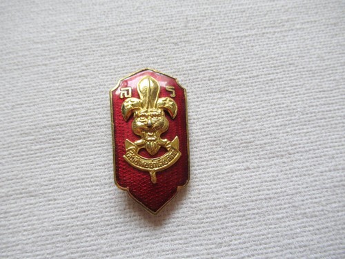 Thailandia boy scout senior - boy,