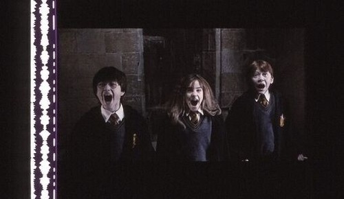 Pellicola film harry potter - film,