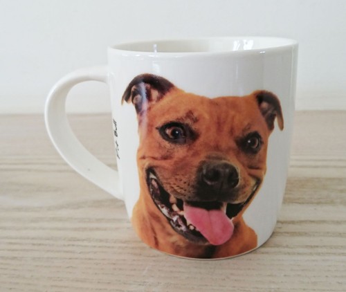 Tazza cane pit bull regalo - pit,