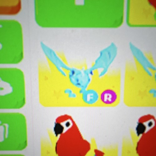 Adopt blue winged pet - blue,